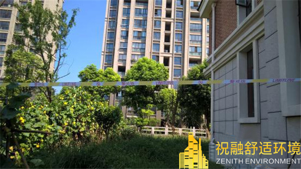 粉色视频APP下载运行特点分析