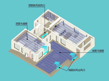 三恒系统五恒系统与粉色视频APP下载的差异