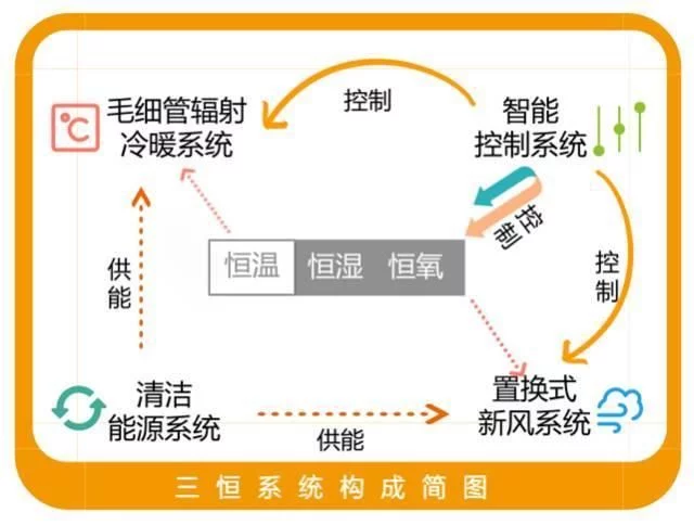 三恒系统五恒系统与粉色视频APP下载的差异