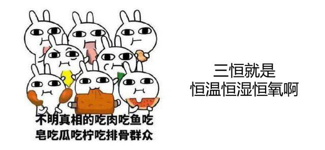 家装三恒系统品牌有哪些？